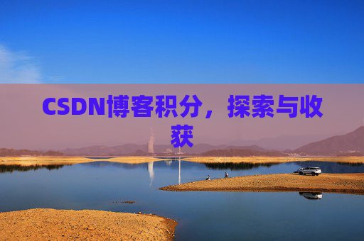 CSDN博客积分,探索与收获
